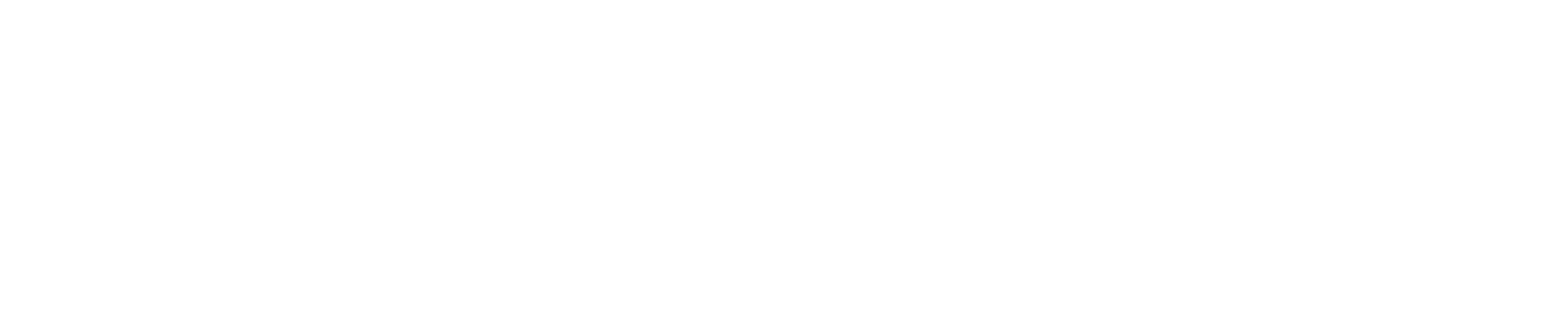 Logo UNV